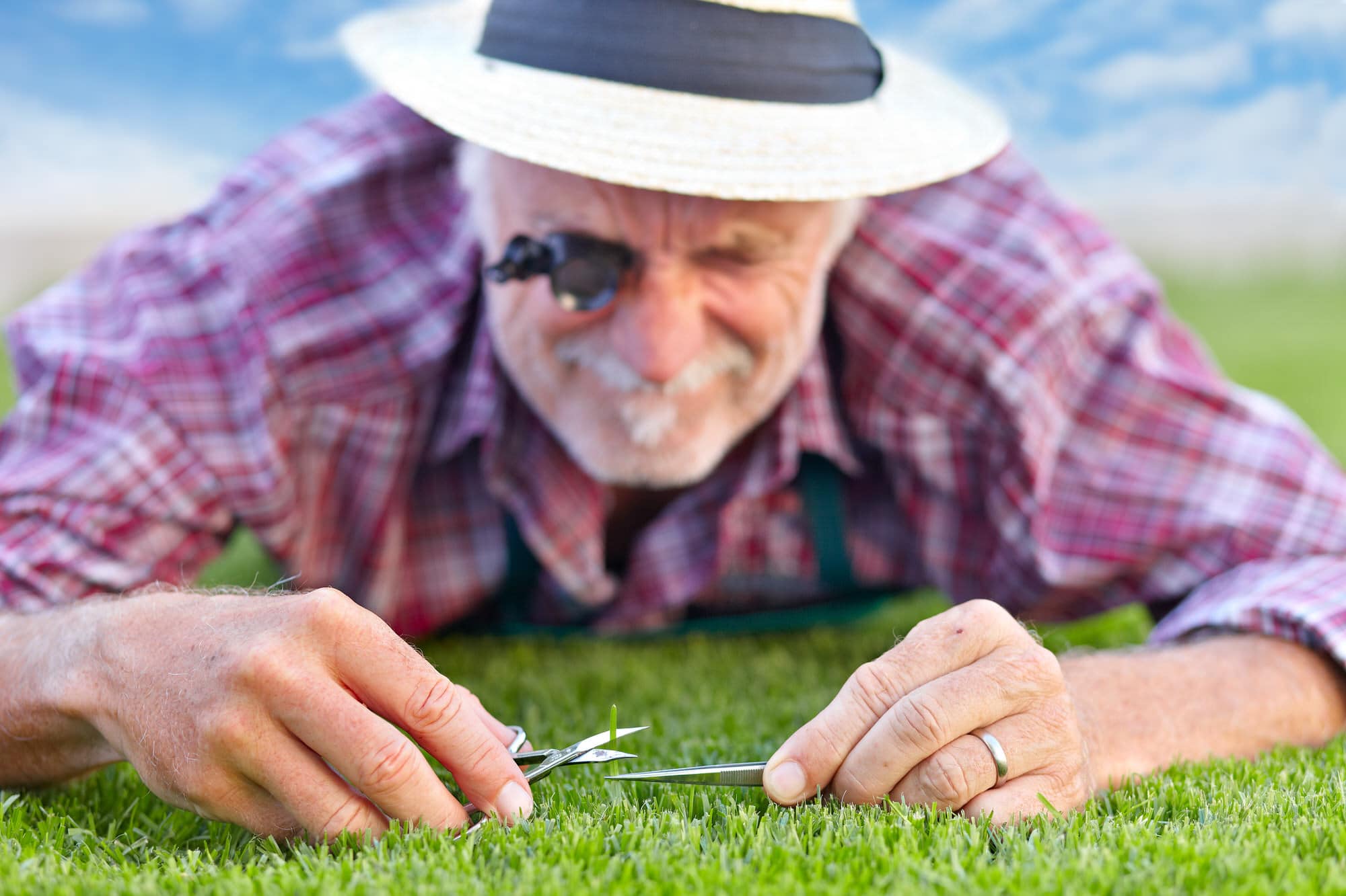 Rasenpflege im Frühjahr: Wann man den Rasen kalken muss - HeimHelden