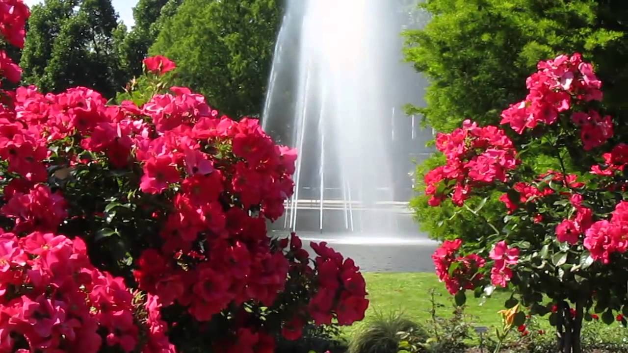 Rosengarten Zweibrücken