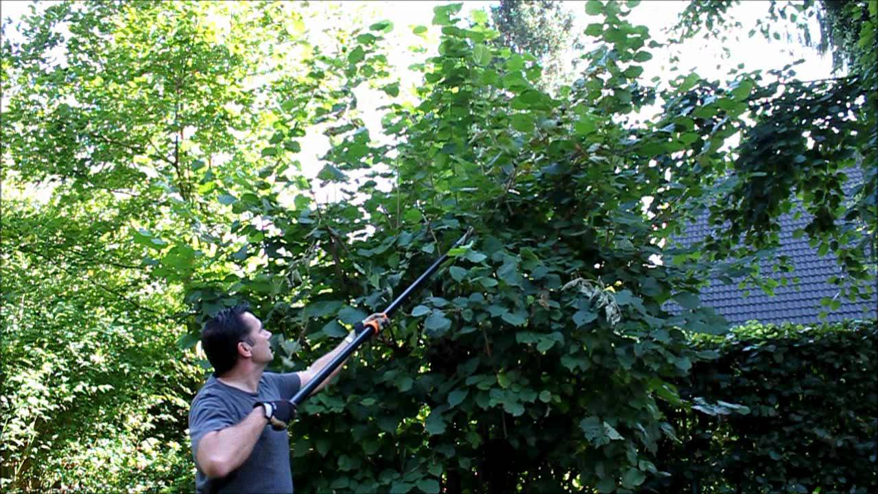 Fiskars Bypass Teleskop | Haselnussbaum zum Winter schneiden | Haselnussbaum schneiden - NewWonder