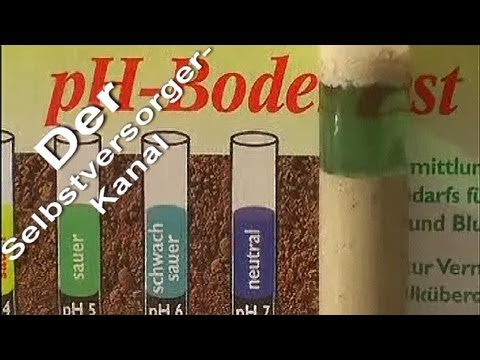 PH Wert im Garten richtig testen