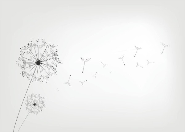 Anleitung: Wandaufkleber anbringen