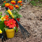 Den Garten für den Winter vorbereiten