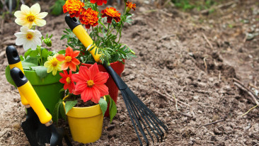 Den Garten für den Winter vorbereiten – der letzte Feinschliff im Herbst