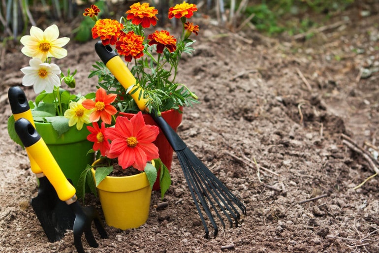 Den Garten für den Winter vorbereiten – der letzte Feinschliff im Herbst