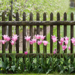 Ideen für einen Gartenzaun