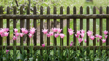 Ideen für einen Gartenzaun und Montage