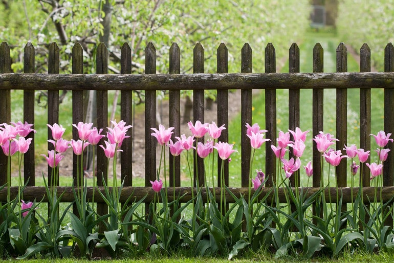 Ideen für einen Gartenzaun und Montage