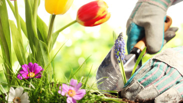 Sinnvolle Gartengestaltung für Doppel- und Reihenhäuser Teil 2