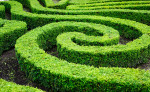 Garden Groom – die Sicherheits-Gartenschere