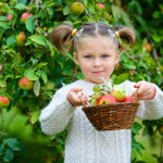 Apfelbaum: Infos zur Pflege und Anbau