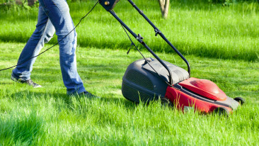 Rasenmäher: Alle Informationen zum beliebten Garten-Werkzeug