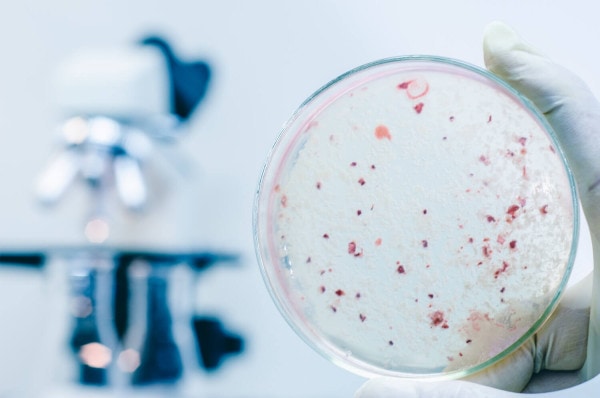 Legionellenprüfpflicht