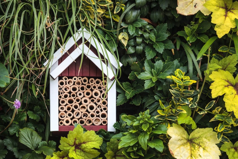 Insektenhotel im heimischen Garten: Informationen zum Insektenhaus