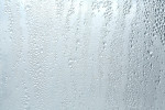 Luftentfeuchtungsgeräte: Schimmel beseitigen und bekämpfen