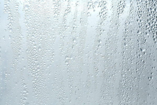 Schimmel vorbeugen und beseitigen