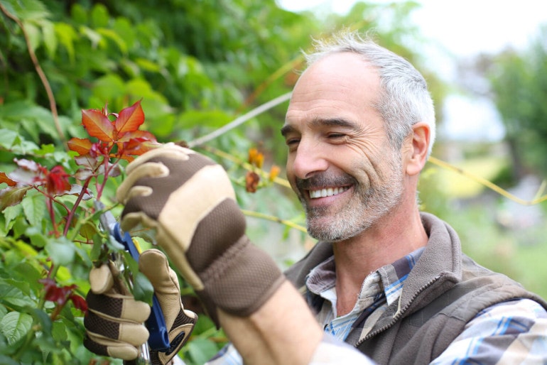 Die Königin der Blumen: Wie man Rosen richtig pflegt