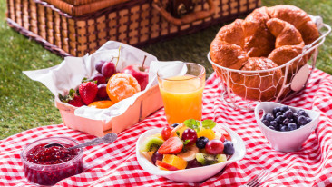 Picknick im Grünen – was nimmt man im Picknickkorb mit?