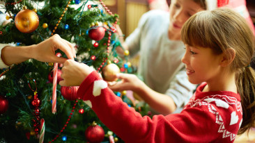 Weihnachtsbaum von Mutter Natur oder in künstlicher Form?