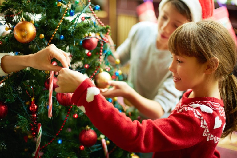 Weihnachtsbaum von Mutter Natur oder in künstlicher Form?