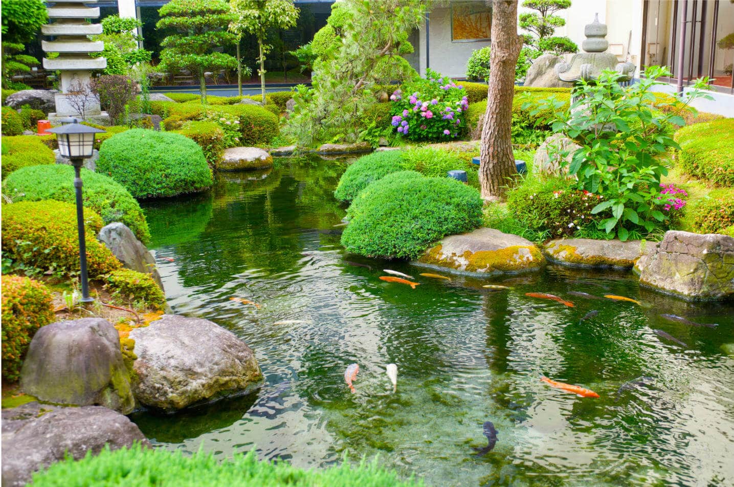 Das müssen Sie beim Teich in Ihrem Garten beachten - HeimHelden®