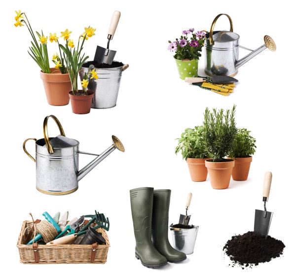 Die Grundausstattung für den Garten