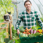 Gewächshaus lohnenswert für den Garten?