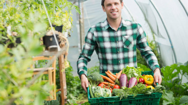 Gewächshaus lohnenswert für den Garten?