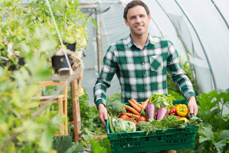 Gewächshaus lohnenswert für den Garten?