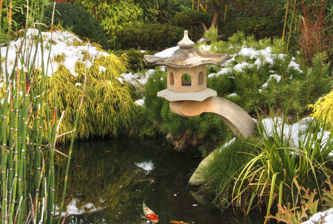 Teich sicher und unbeschadet durch den Winter bringen