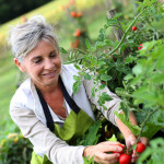 Gartenarbeit im Frühjahr - so bereiten Sie Ihren Garten auf den Sommer vor!