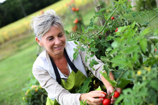 Gartenarbeit im Frühjahr - so bereiten Sie Ihren Garten auf den Sommer vor!