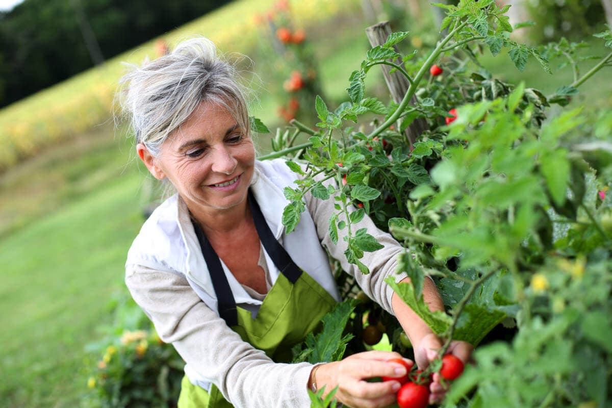 Gartenarbeit im Frühjahr - so bereiten Sie Ihren Garten auf den Sommer vor!