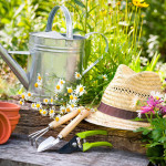 Alles neu macht der Mai? - Frische Gartengestaltungsideen für den Frühling