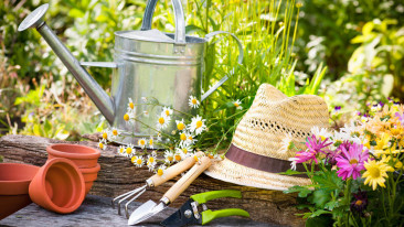 Alles neu macht der Mai? – Frische Gartengestaltungsideen für den Frühling