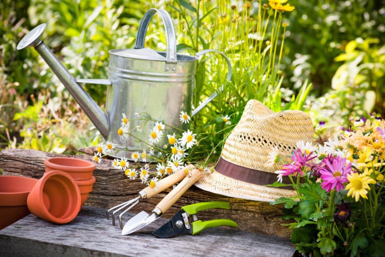 Alles neu macht der Mai? – Frische Gartengestaltungsideen für den Frühling