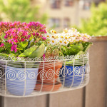 Schöne Ideen für die Bepflanzung des Balkons