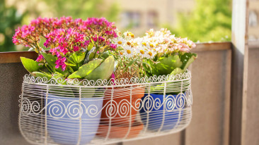 Balkonblumen – schöne Ideen für die Bepflanzung des Balkons