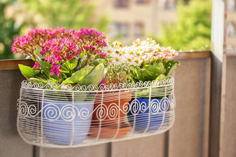 Balkonblumen – schöne Ideen für die Bepflanzung des Balkons