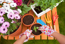 Frühling: Gartenarbeiten von März bis Mai