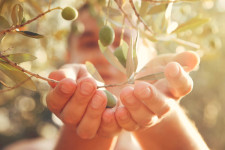 Herbst: Gartenarbeiten von August bis November