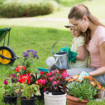 Einen pflegeleichten Garten anlegen