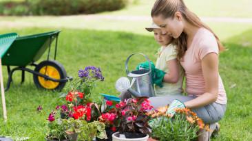 Einen pflegeleichten Garten anlegen