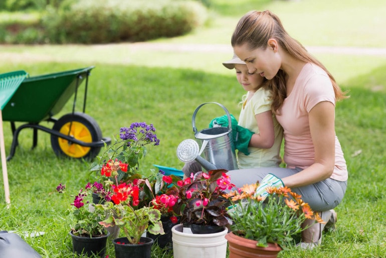 Einen pflegeleichten Garten anlegen