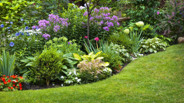 Pflegeleichter Garten 🌳 ein Garten für Faule 😃