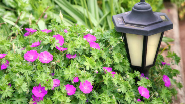 Eine sichere und stilvolle Gartenbeleuchtung planen