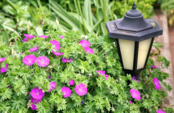 Eine sichere und stilvolle Gartenbeleuchtung planen