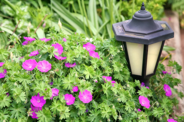 Eine sichere und stilvolle Gartenbeleuchtung planen