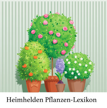 Pflanzen-Lexikon