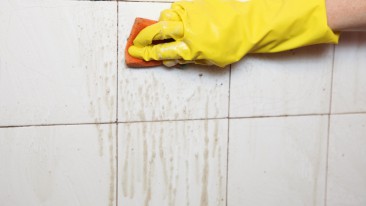 Fliesen reinigen: Tipps zur Säuberung und Instandhaltung