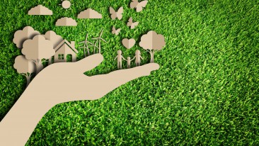 Haus mit natürlichen Materialien ökologisch ausbauen